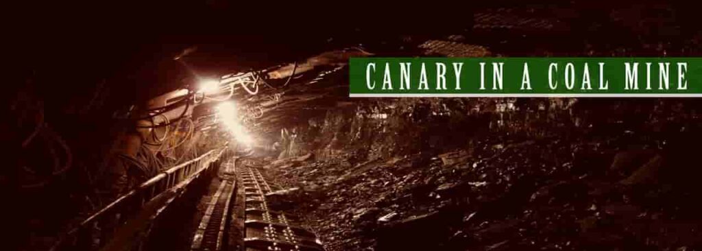 炭鉱のカナリア　マーケットの先行指標